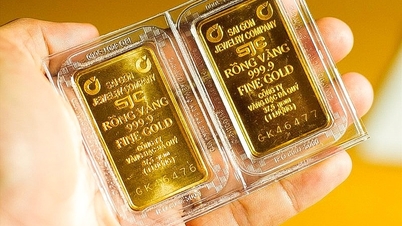 SJC gold bars increased by 3 million VND/tael, 23 million VND more expensive than the world price.