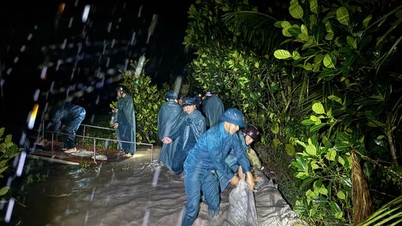 'Regangan' untuk menghadapi banjir: Melindungi benteng, memelihara tanaman (Artikel terakhir)