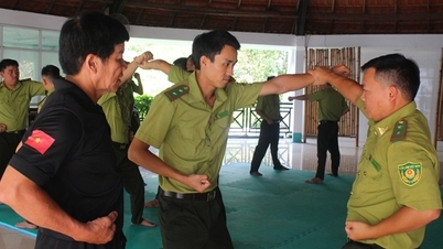 Gyakorold a harcművészeteket az öreg erdő védelmében