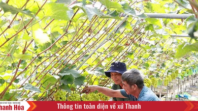 Skapa momentum för hållbar kollektiv ekonomisk utveckling