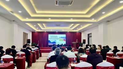 Phát triển du lịch cộng đồng bền vững tại Tuyên Quang: Lan tỏa mô hình du lịch xanh, trách nhiệm và nhân văn