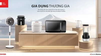 Серія Toshiba UMAMI: успадкування 95-річної «спадщини» збереження чудового смаку та повного задоволення