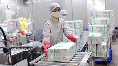 Standard Chartered naikkan perkiraan PDB Vietnam 2025 menjadi 7,5%