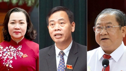 Övervinna begränsningar i digital infrastruktur och säkra livet för gräsrotsmedlemmar