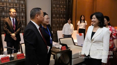 Sumber bantuan asing