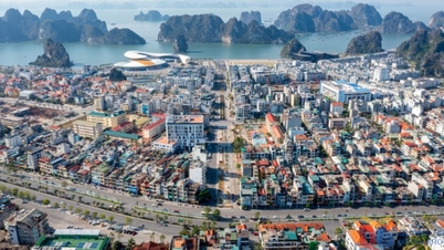 Bercita-cita untuk berkontribusi bagi tanah air yang semakin kaya dan indah