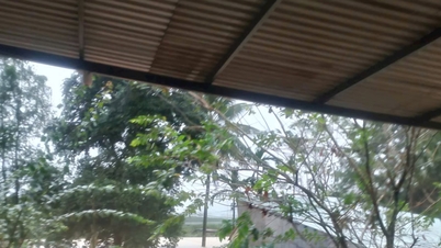 Tra Tan kommune har mer enn 30 hus som har kollapset, blitt revet med og blitt fullstendig begravd.