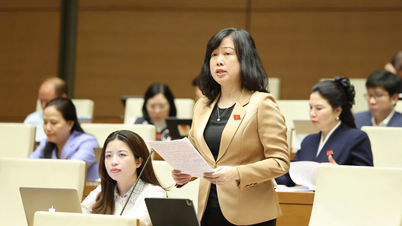 Ministrul Sănătății vorbește despre o serie de probleme „fierbinți” din industrie