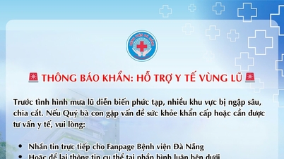 Nemocnice Da Nang zavádí vzdálené lékařské konzultace pro oběti povodní