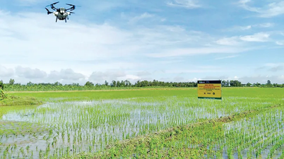 Podpora udržitelných modelů zemědělské produkce a přizpůsobení se změně klimatu