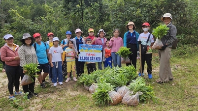 Acoperit de dragoste