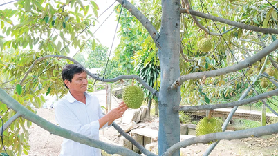 Zvyšování hodnoty produktů, rozvoj udržitelného zemědělství