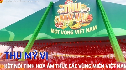 Thu My Vi - Relier la quintessence culinaire des régions du Vietnam