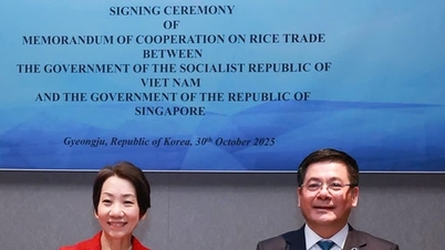 В'єтнам та Сінгапур сприяють торгівлі рисом
