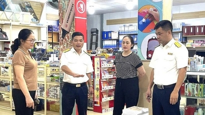 Cao Bang provinsielle skatteavdeling undersøker skattebetalernes tilfredshetsnivå i 2025