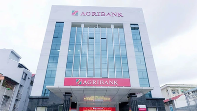 Potwierdzając kluczową rolę inwestycji w rozwój „rolnictwa, obszarów wiejskich”