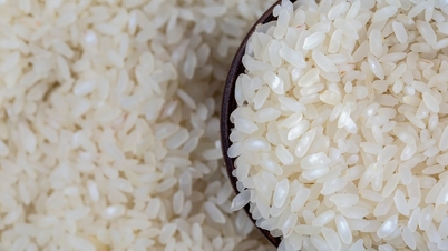 តម្លៃ​អង្ករ​ថ្ងៃ​នេះ ៣០ តុលា៖ តម្លៃ​អង្ករ​នាំ​ចេញ​ឡើង​ចុះ​បន្តិច