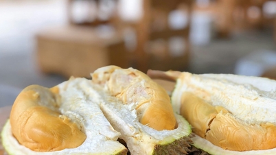 Durian ára ma, október 30-án: A Central Highlands továbbra is magas árat mutat