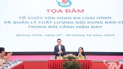 Lösningar för att organisera nyhetsrum av olika slag och hantera pressinnehåll