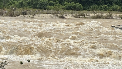 Quang Ngai ratuje dwie osoby porwane przez powódź