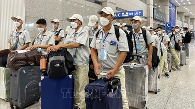 Hay más de 121 mil trabajadores vietnamitas trabajando en el extranjero.