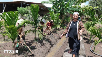 Pelajaran 2: Orang yang menjaga “frekuensi” iman di tengah hutan Ea K’Tur