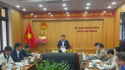 Lam Dong versnelt 90-dagencampagne om landgegevens op te schonen