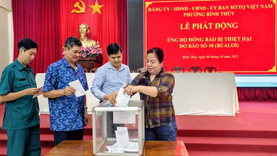 Främja demokrati och genomföra social trygghet på ett bra sätt