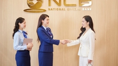 NCB poskytuje komplexní finanční řešení pro velké podniky.