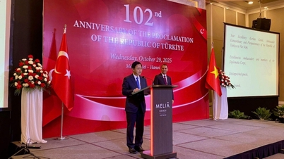 Vietnam - Turkiet: En modell för samarbete mellan två länder med en gemensam vision för fred och välstånd