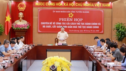 Special session of the Provincial People's Committee on administrative procedure reform