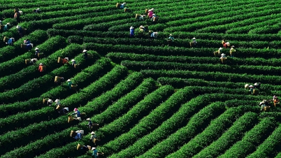 OCOP and rural tourism - dual benefits