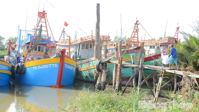 Dong Thap: Koncentracja zasobów, wzmocnienie inspekcji i kontroli statków rybackich działających na morzu