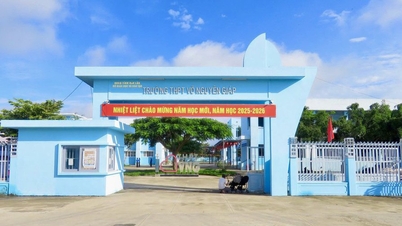 Buộc thôi việc thầy giáo bóp cổ đồng nghiệp