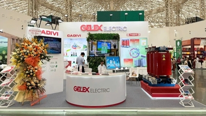 GELEX Electric accompagne le développement des infrastructures énergétiques du Vietnam
