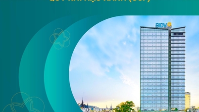 BIDV - Bank saham bersama komersial Vietnam pertama yang menjadi organisasi diiktiraf Green Climate Fund