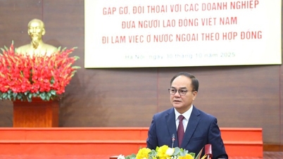 ៦ - ៧ ពាន់លានដុល្លារក្នុងមួយឆ្នាំផ្ញើពីពលករវៀតណាមនៅបរទេស