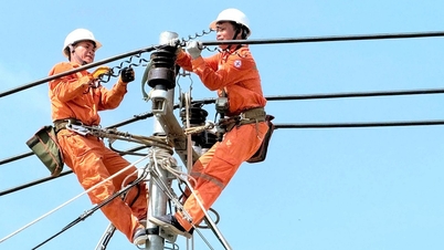 EVN este îngrijorat că nu va putea suporta costul investițiilor în rețeaua electrică?