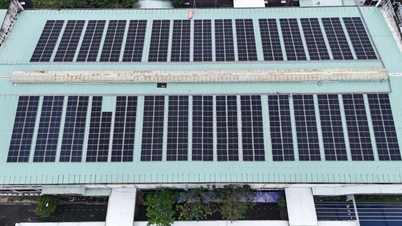 Perusahaan Denmark melabur dalam tenaga solar untuk kilang tekstil di Ho Chi Minh City