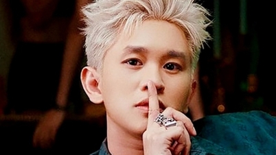 In het nummer Deviant Lyrics worden de acties van 2 Vietnamese sterren genoemd.