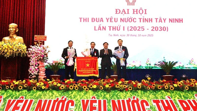 Tay Ninh promovează mișcarea de emulație patriotică pentru a construi o patrie din ce în ce mai bogată și puternică.