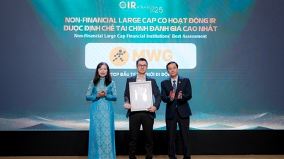 گروه جهانی موبایل (MWG) مفتخر به دریافت جوایز 3 شرکت برتر IR شد - گروه شرکت‌های بزرگ غیرمالی