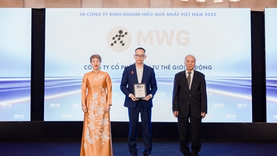 MWG در فهرست ۵۰ شرکت برتر و مؤثر ویتنام در سال ۲۰۲۵ قرار دارد.