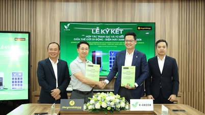 Mobile World و V-Green برای استقرار بیش از ۲۰۰۰ ایستگاه شارژ خودروهای برقی و کابینت تعویض باتری در سراسر کشور همکاری می‌کنند.