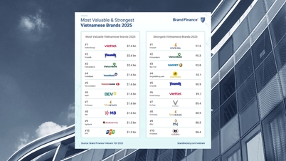 موبایل ورلد جزو ۴ برند قوی ویتنام است