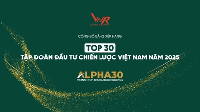 MWG Participates in the Top 30 Strategic Investment Groups in Vietnam in 2025