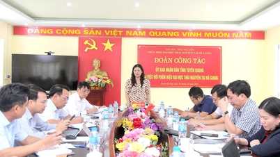 Vice Chairman of the Provincial People's Committee Vuong Ngoc Ha worked with Thai Nguyen University Branch in Ha Giang