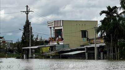 Da Nang: Birçok yerleşim alanı hâlâ şiddetli su baskınları altında ve desteğe ihtiyaç duyuyor.