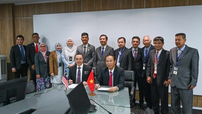 Vietnam en Maleisië werken samen om illegale visserij te bestrijden