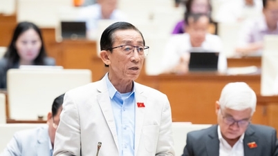 វាចាំបាច់ដើម្បីបង្កើតការប៉ាន់ប្រមាណចំណូល និងចំណាយសមកាលកម្ម។